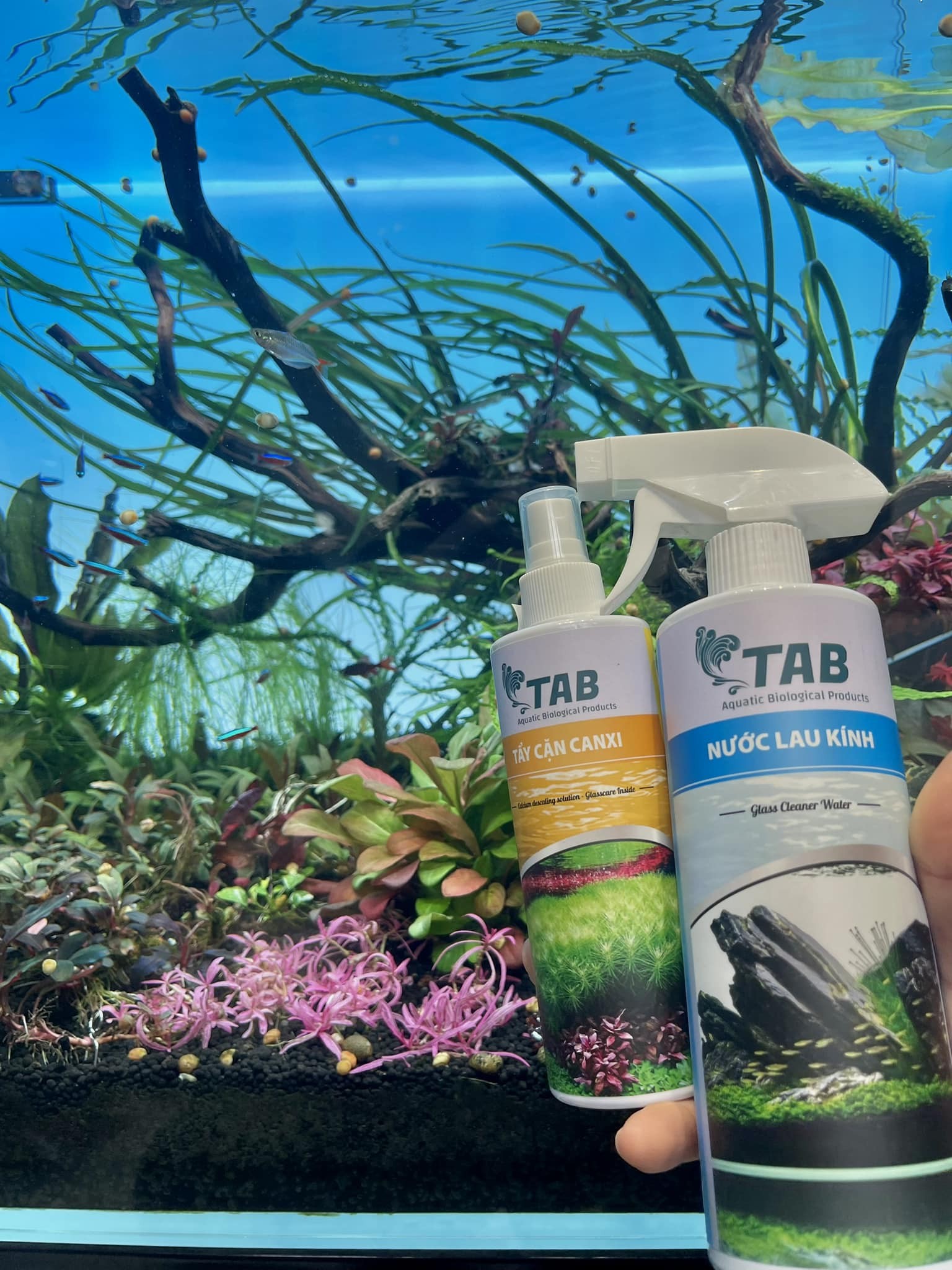 Nước lau kính TAB giúp bề mặt kính sáng bóng - 500ml